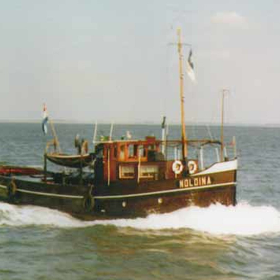 Noldina 1974